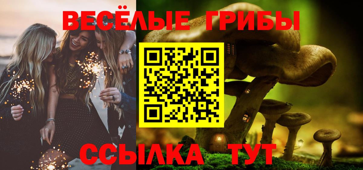 Галлюциногенные грибы Psilocybe Красноармейск